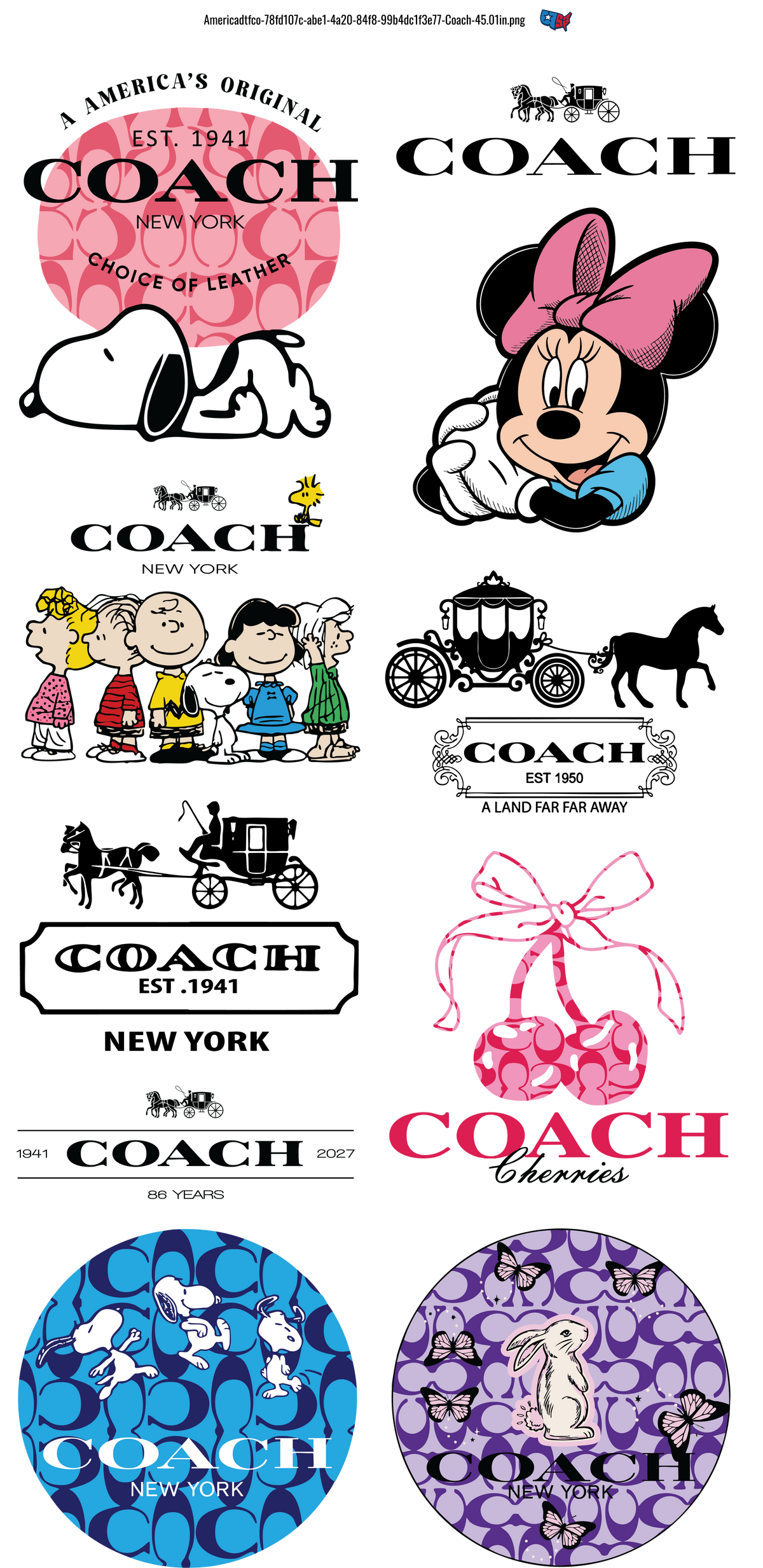 Coach #100136