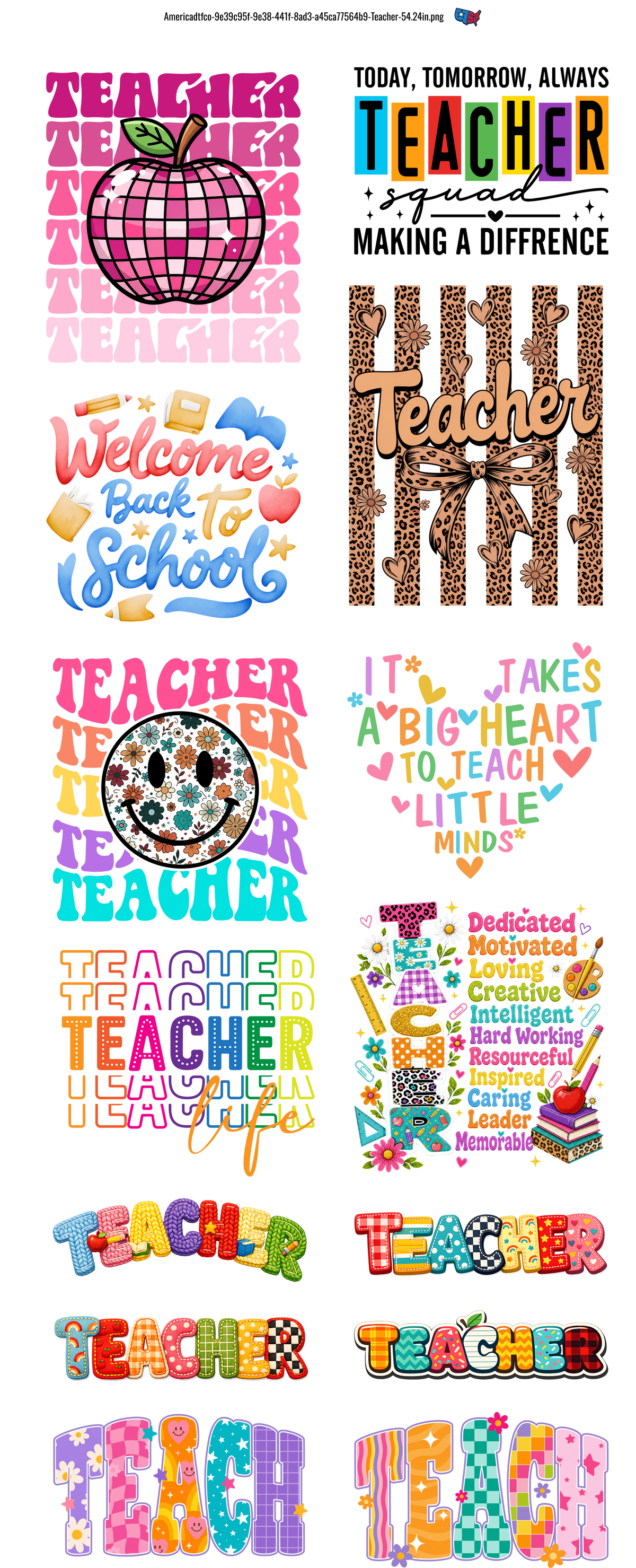 Teacher New #100394