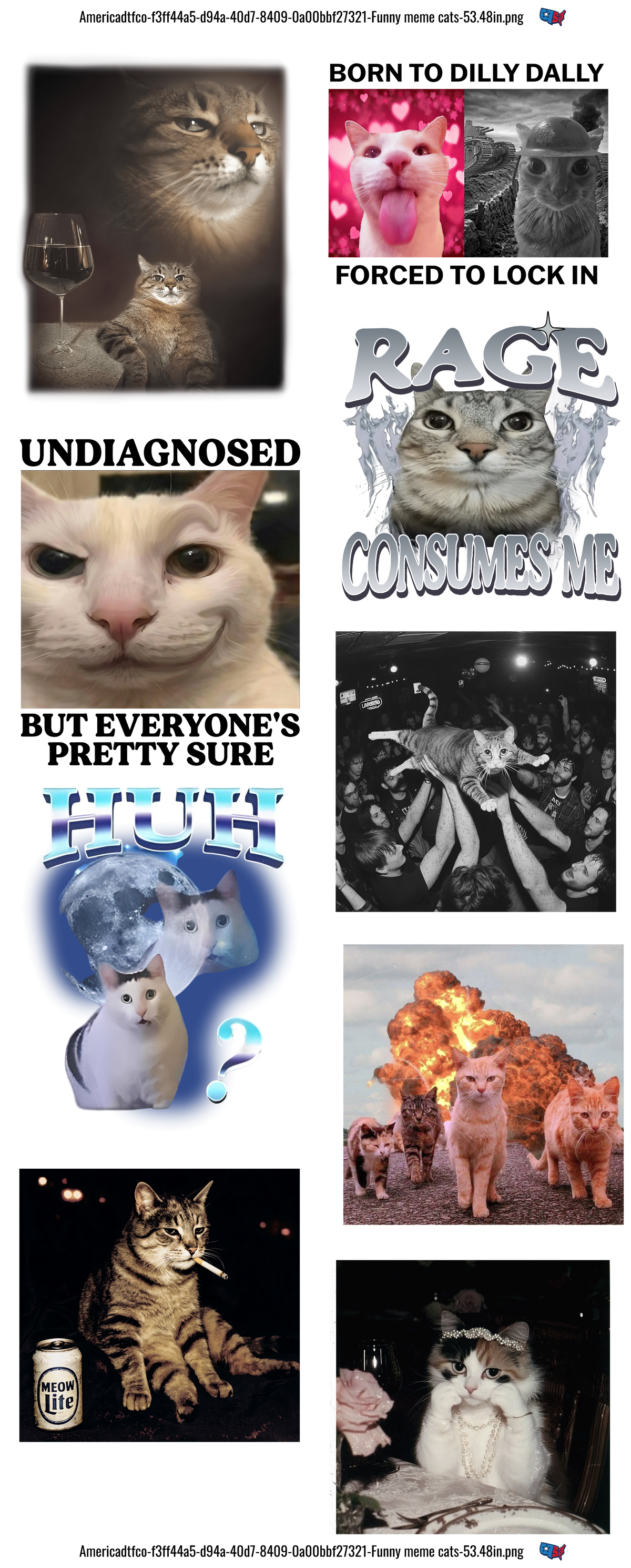 Funny Meme Cats #100467