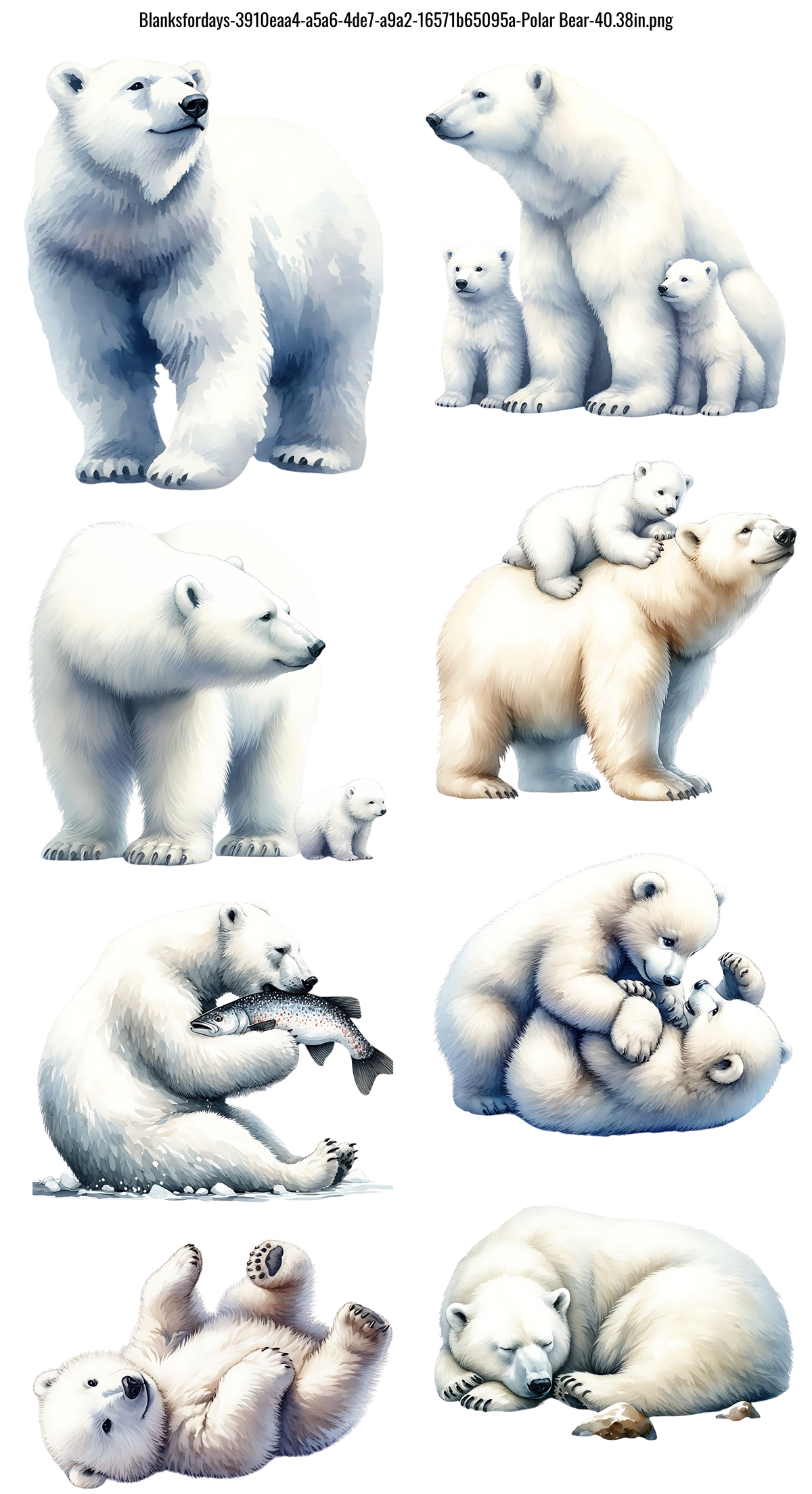 Polar Bear #100521