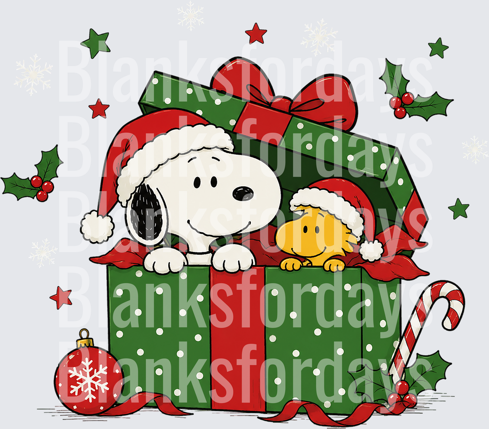 Snoopy and Woodstock Santa Hats Christmas Gift Box (DTF)