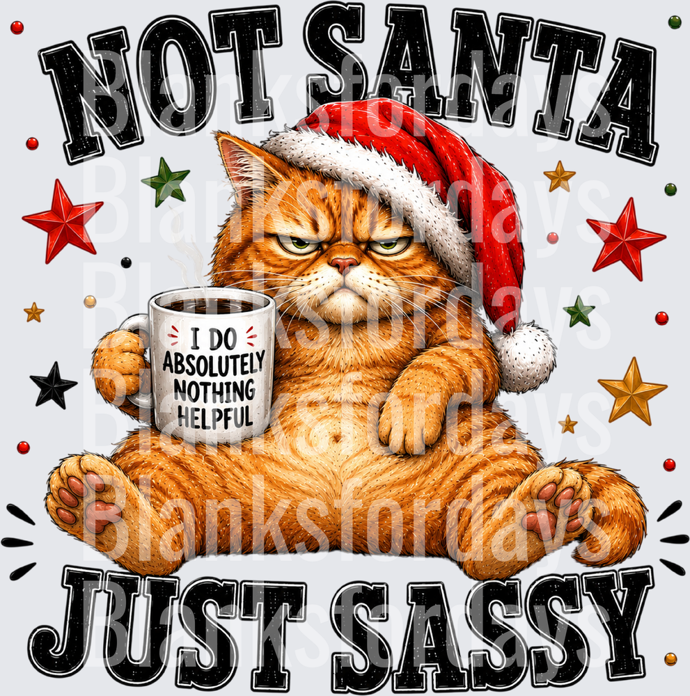 Not Santa Just Sassy Grumpy Cat Santa Hat Coffee Mug Christmas (DTF)