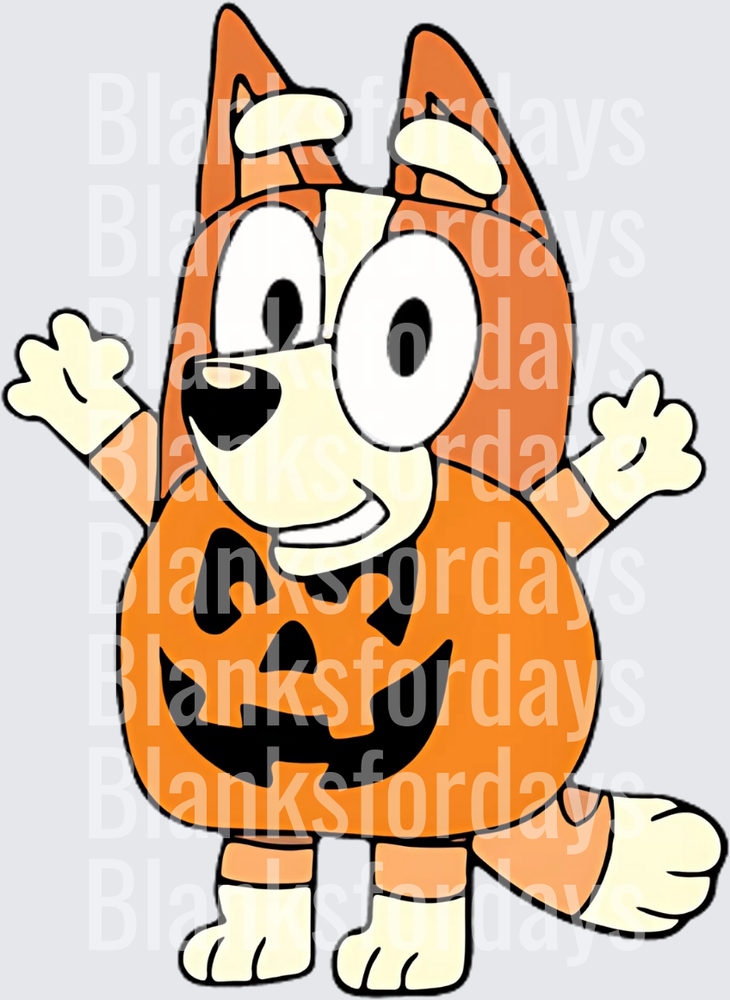 Bingo Heeler Halloween Jack-O-Lantern Pumpkin Costume (DTF)