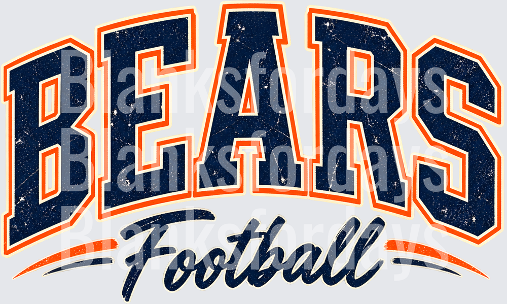 Bears Football Distressed Vintage Arched Bold Lettering (DTF)