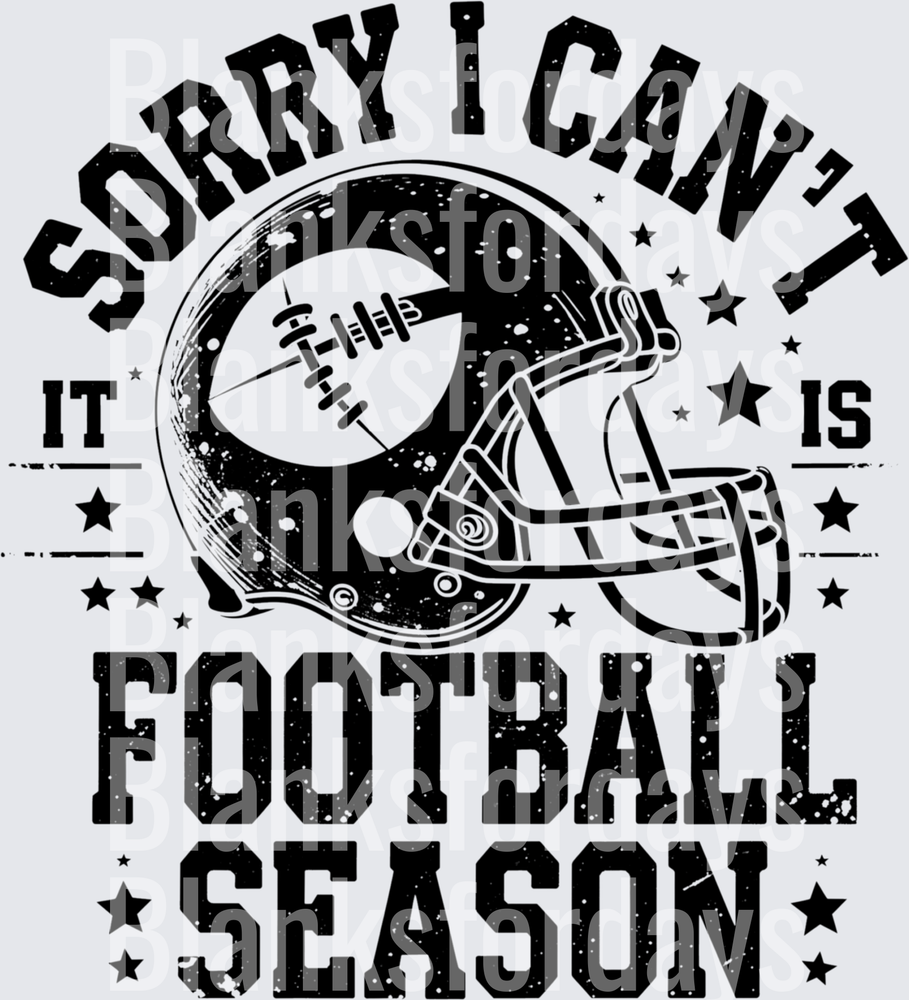 Sorry I Can't It Is Football Season Distressed Helmet Stars (DTF)