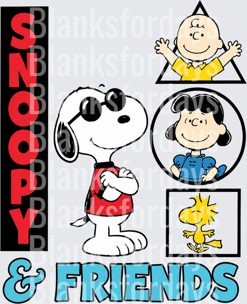 Snoopy & Friends Charlie Brown Lucy Woodstock Peanuts Gang (DTF)