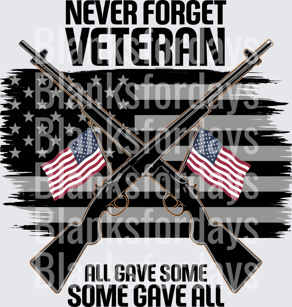 Never Forget Veteran All Gave Some Some Gave All Crossed Rifles American Flag (DTF)