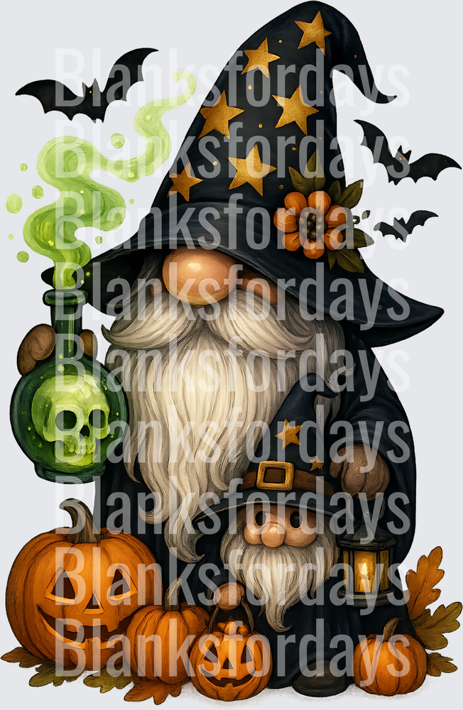 Halloween Witch Gnome with Skull Potion and Jack-o-Lanterns (DTF)