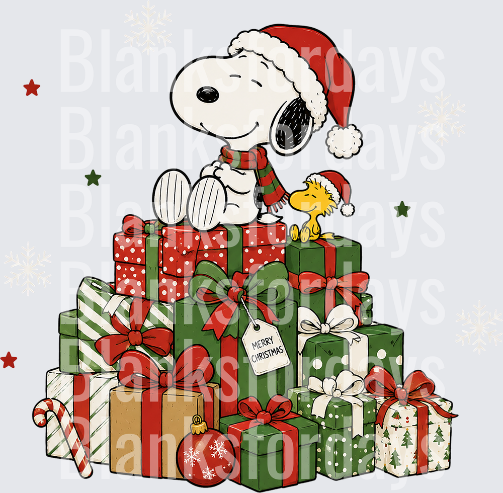Snoopy and Woodstock Santa Hats Merry Christmas Gifts (DTF)