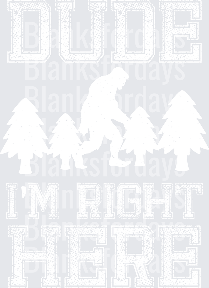 Bigfoot Dude I'm Right Here Sasquatch Forest Trees (DTF)