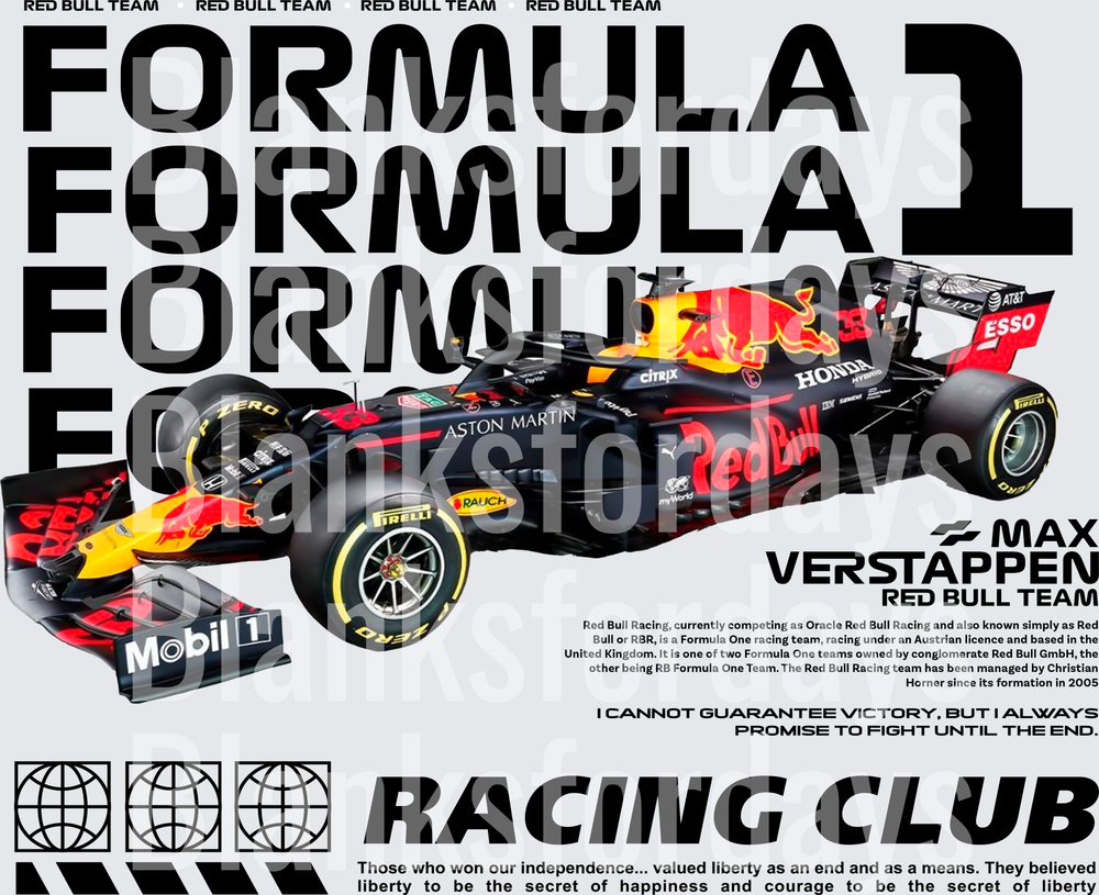 Max Verstappen Red Bull Racing F1 Car Formula 1 Racing Club (DTF)