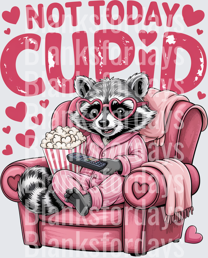 Not Today Cupid Raccoon in Pink Pajamas Valentine's Day (DTF)
