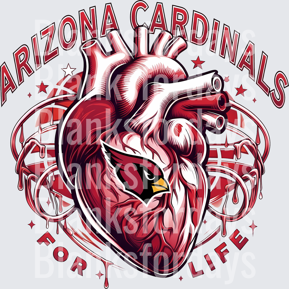 Arizona Cardinals For Life Anatomical Heart Design (DTF)