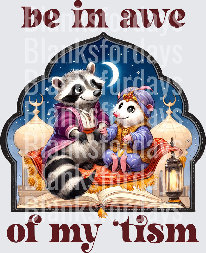 Be In Awe Of My Tism Raccoon Opossum Arabian Nights (DTF)