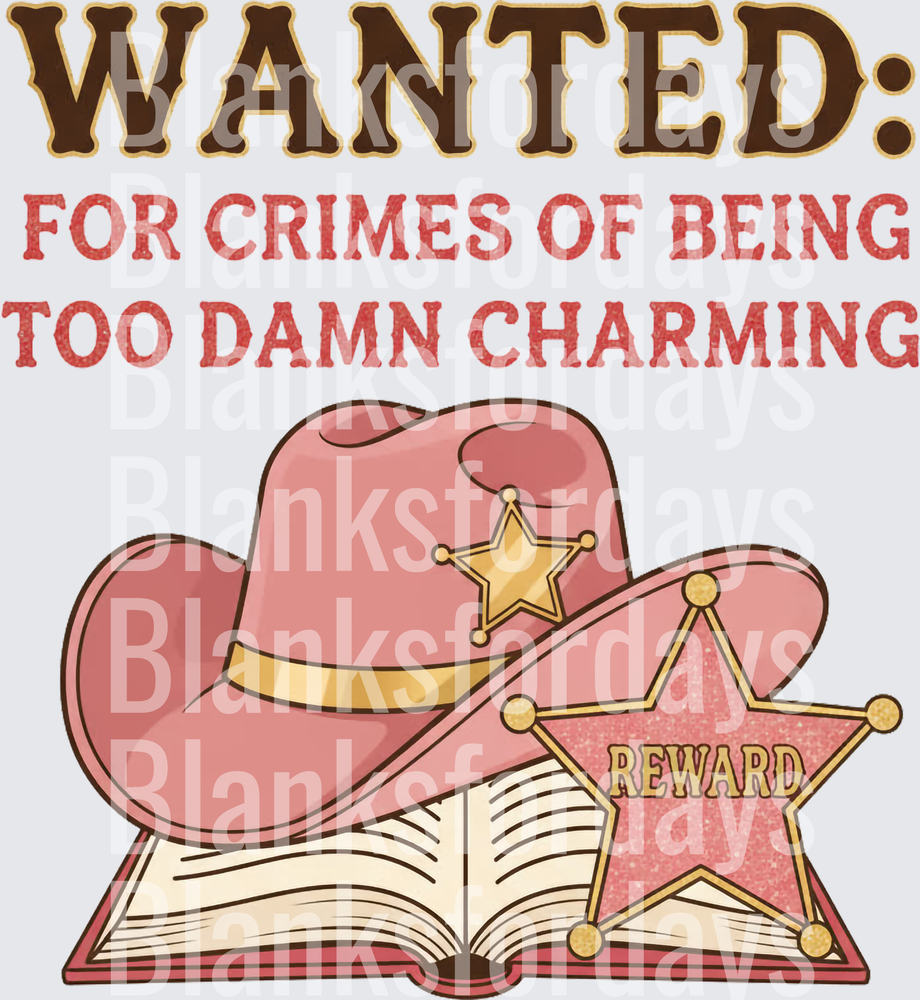 Wanted For Crimes Of Being Too Damn Charming Western Book (DTF)