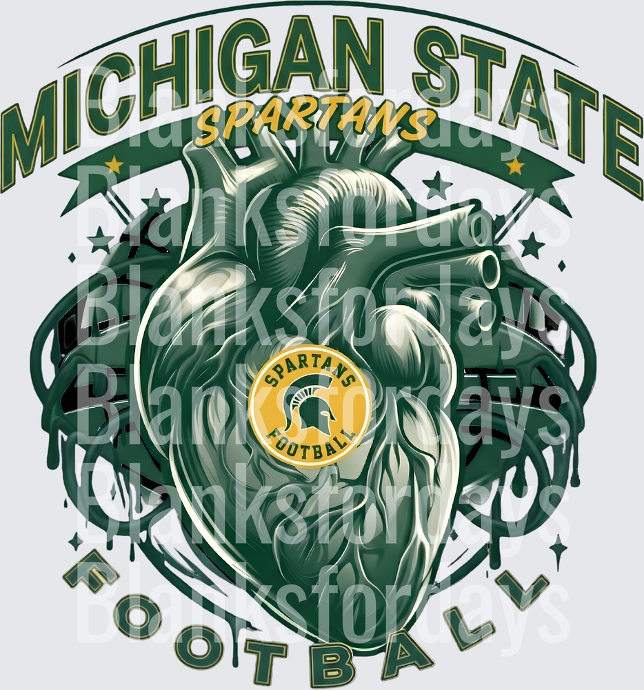 Michigan State Spartans Football Anatomical Heart Design (DTF)