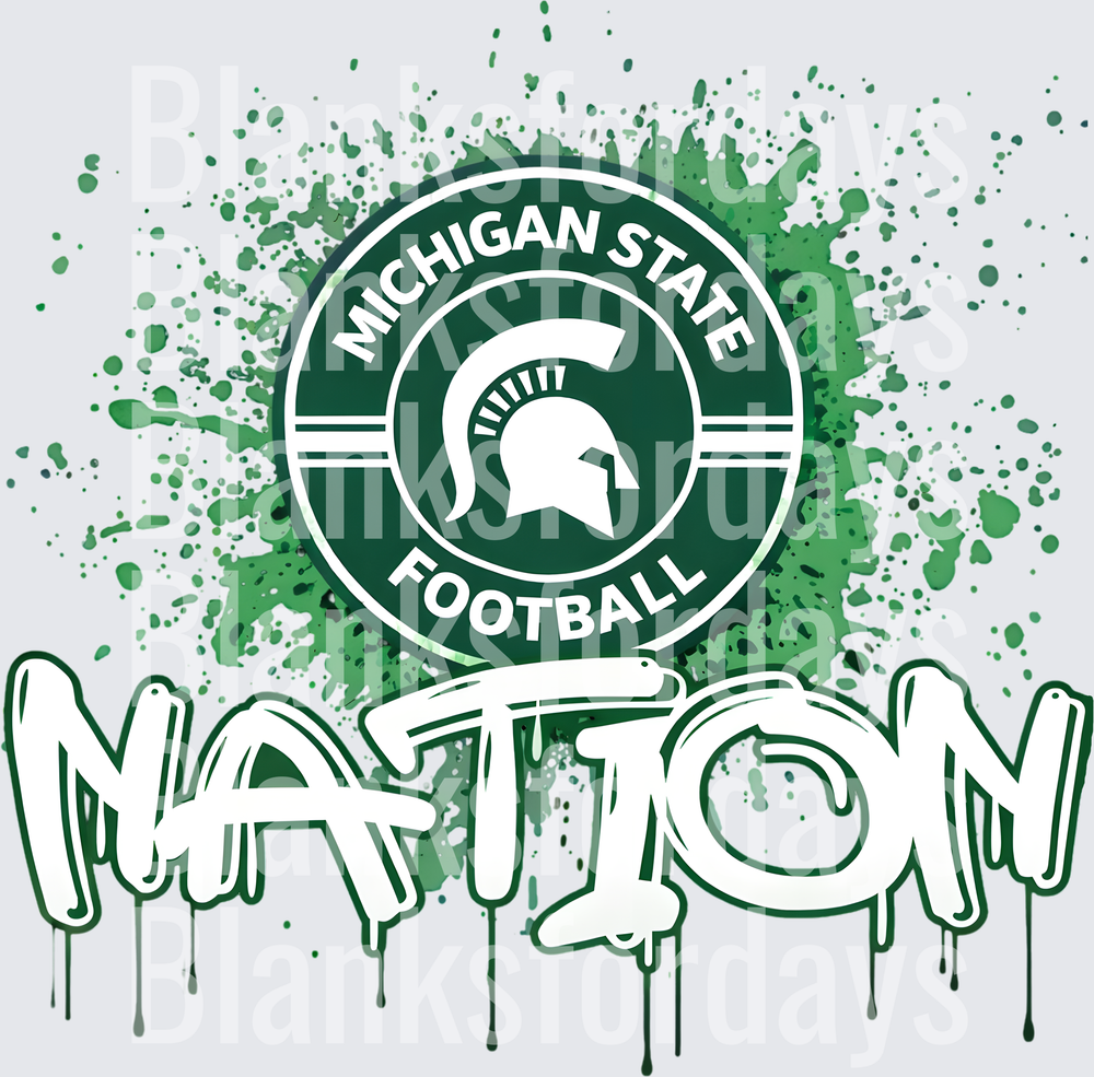 Michigan State Football Nation Spartan Helmet Paint Splash (DTF)