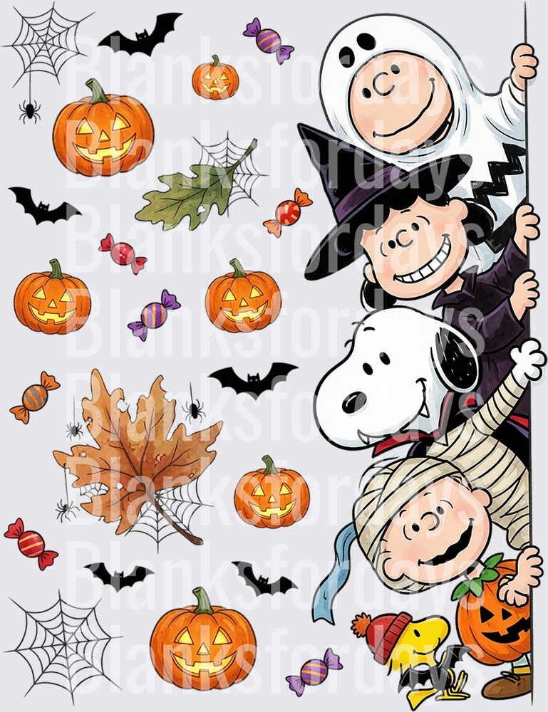 Peanuts Gang Halloween Costumes Snoopy Woodstock Charlie Brown (DTF)