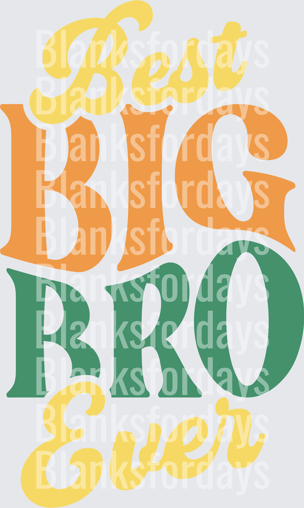 Best Big Bro Ever Retro Bold Typography Design (DTF)