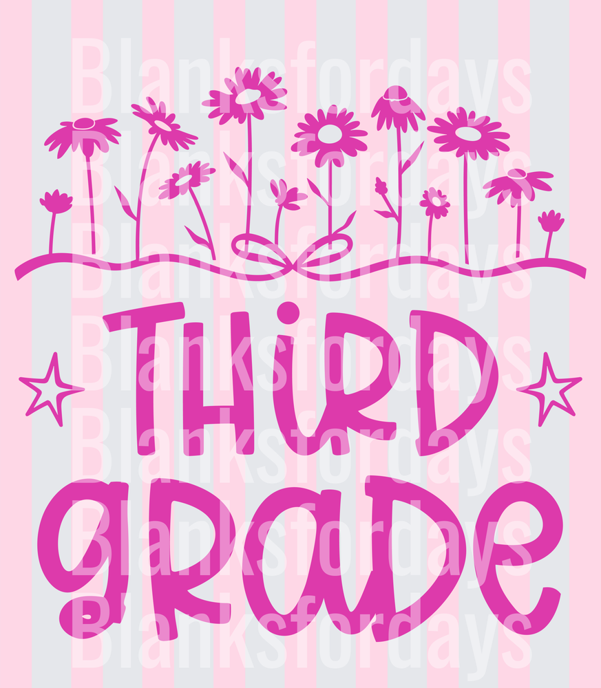 Third Grade Pink Wildflowers Stars Bold Lettering (DTF)