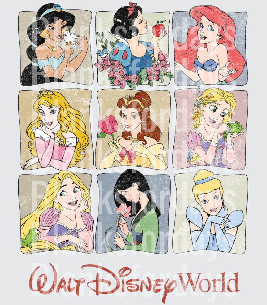 Disney Princess Nine Panel Grid Jasmine Snow White Ariel Aurora Belle Rapunzel Mulan Cinderella Vintage Distressed (DTF)