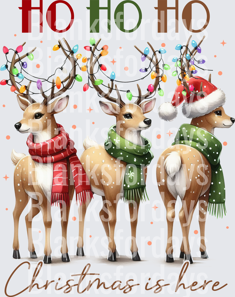 Ho Ho Ho Christmas Is Here Three Reindeer with Lights and Scarves (DTF)