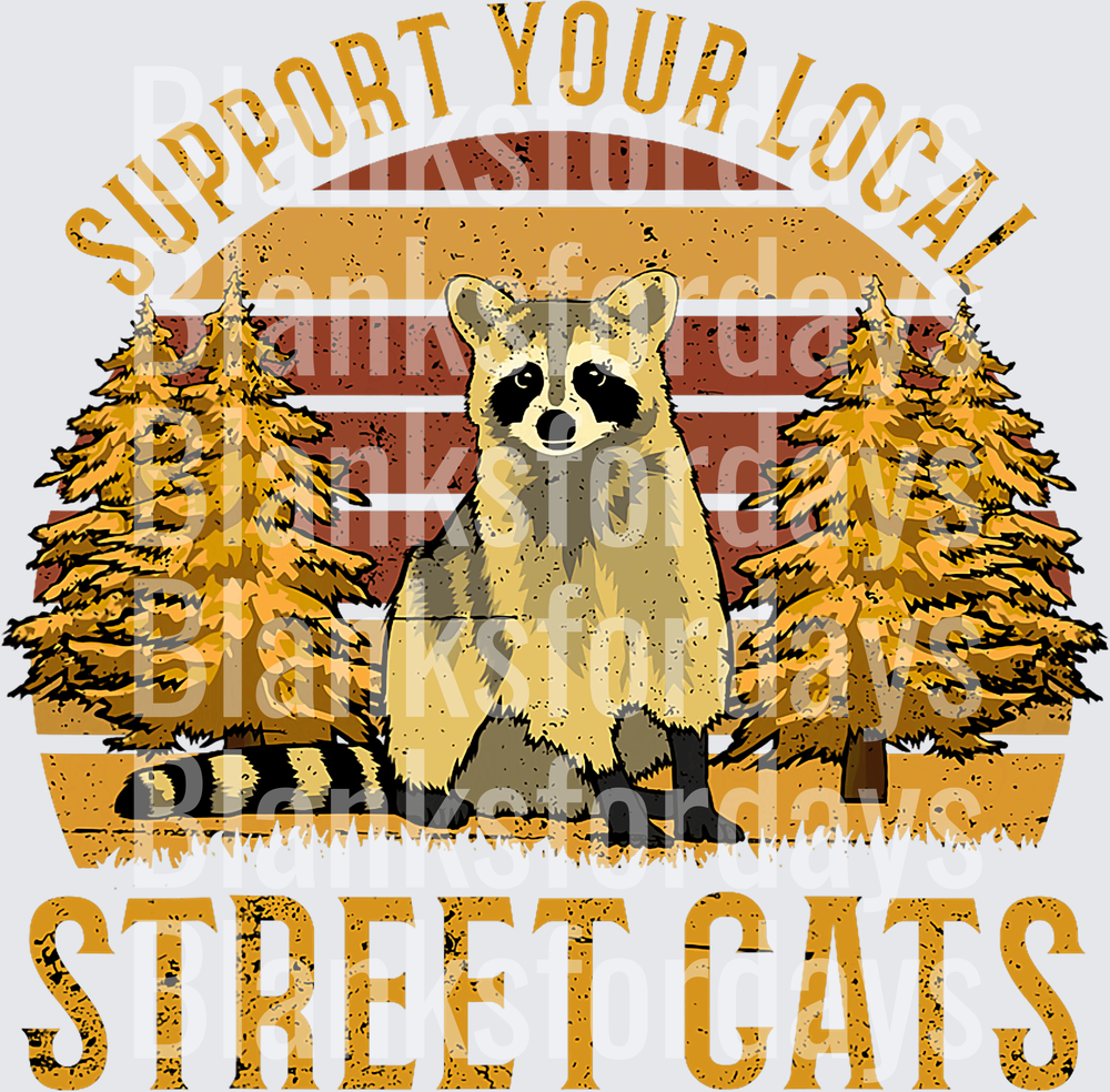 Support Your Local Street Cats Funny Raccoon Vintage Sunset (DTF)