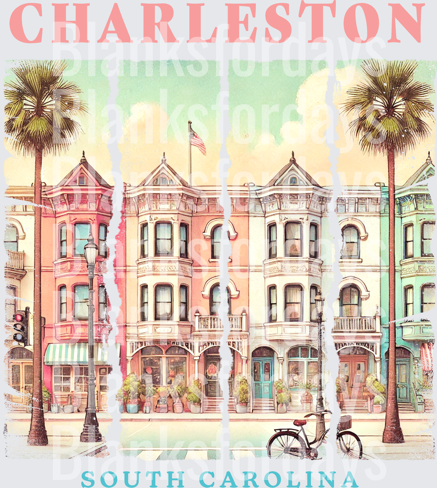 Charleston South Carolina Colorful Historic Row Buildings (DTF)