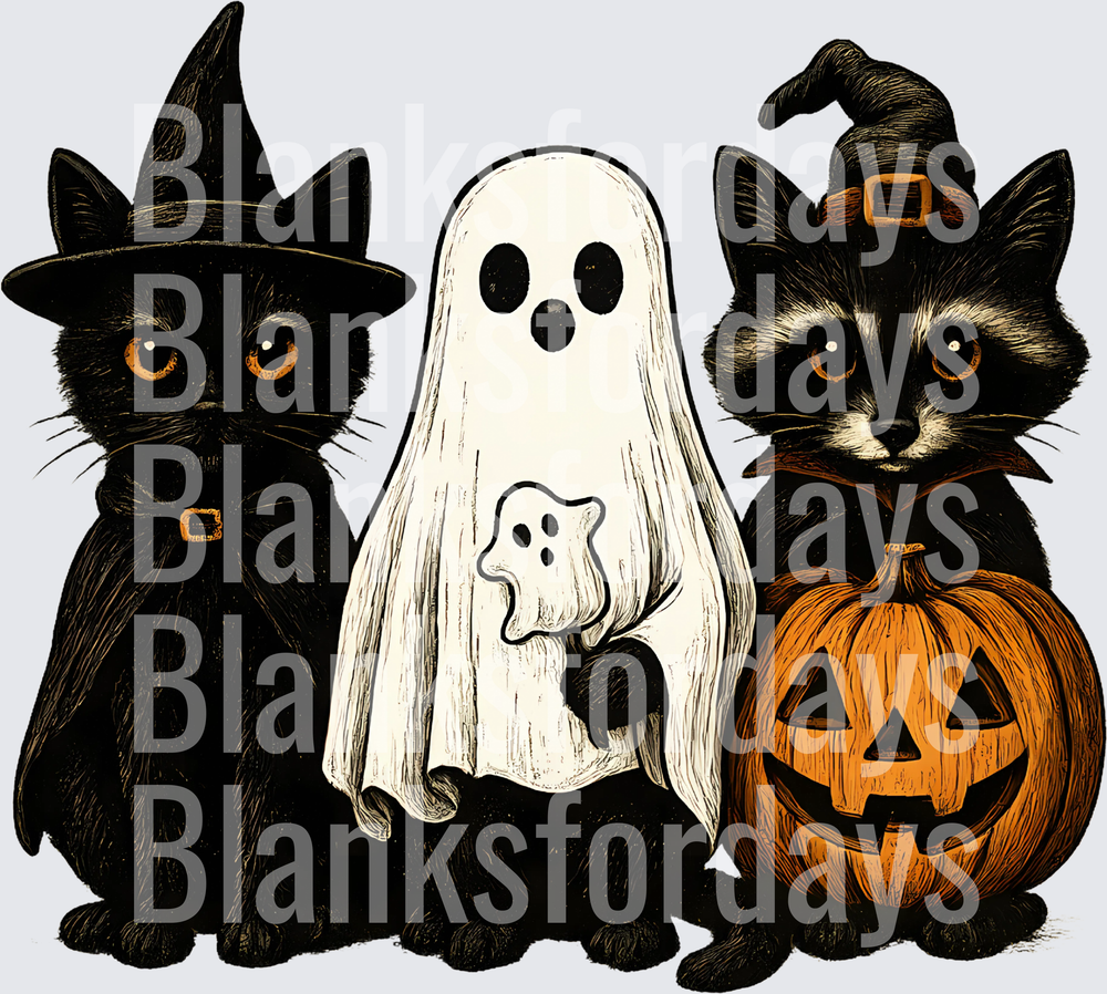 Halloween Black Cat Ghost Raccoon Witch Hat Pumpkin Trio (DTF)