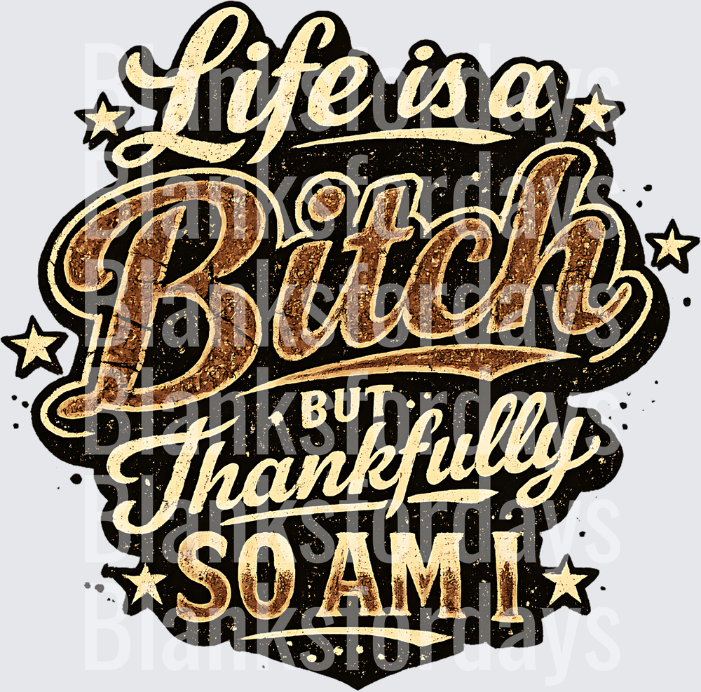 Life Is A Bitch But Thankfully So Am I Vintage Stars (DTF)