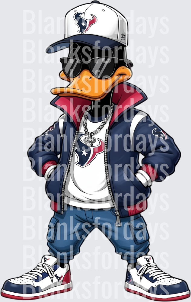 Swag Duck Houston Texans NFL Fan Drip Streetwear (DTF)