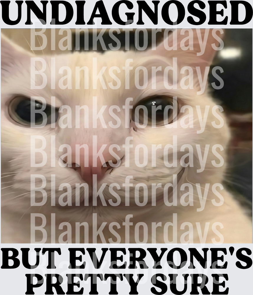 Undiagnosed But Everyone's Pretty Sure Crazy Cat Meme (DTF)