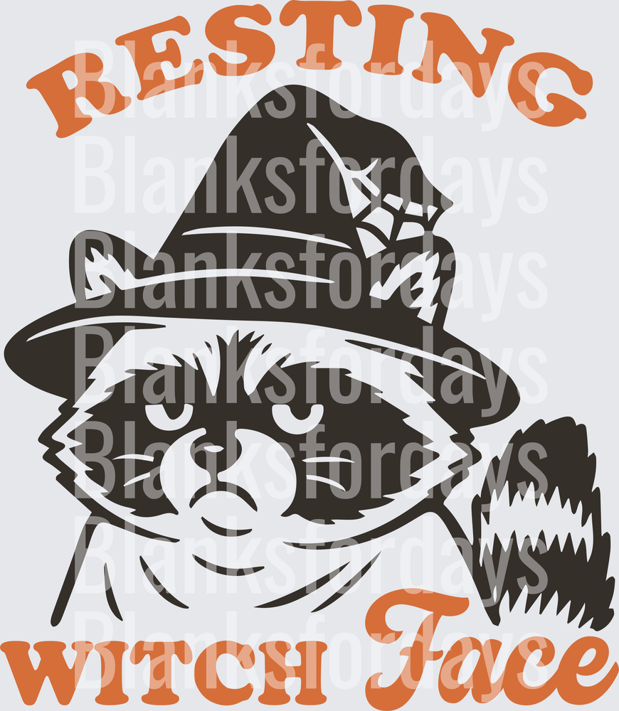Resting Witch Face Raccoon in Witch Hat Halloween (DTF)
