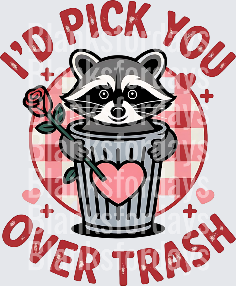 I'd Pick You Over Trash Valentines Raccoon In Trash Can With Rose (DTF)