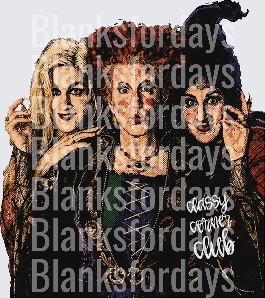 Hocus Pocus Sanderson Sisters Comic Pop Art Portrait (DTF)