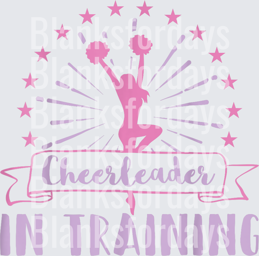 Cheerleader In Training Pink Silhouette Stars Banner (DTF)