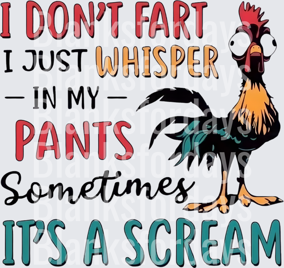 Hei Hei Rooster I Don't Fart I Just Whisper In My Pants (DTF)