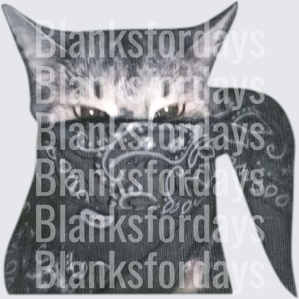 Edgy Cat Wearing Bandana Mask Dark Grunge Style (DTF)