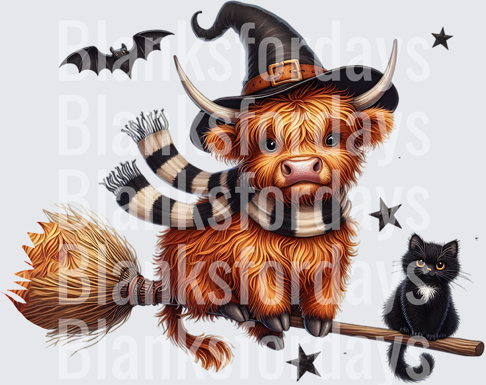 Halloween Highland Cow Witch on Broomstick with Black Cat (DTF)