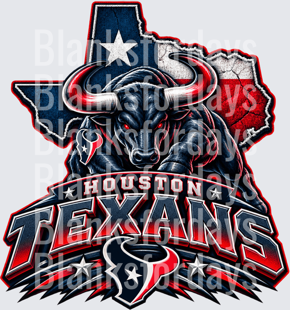 Houston Texans