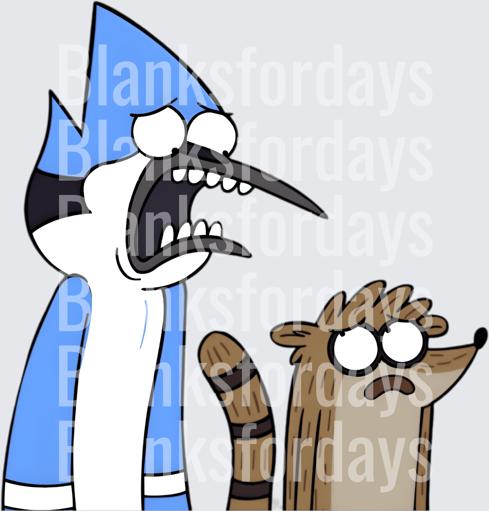 Mordecai and Rigby Shocked Reaction Regular Show (DTF)