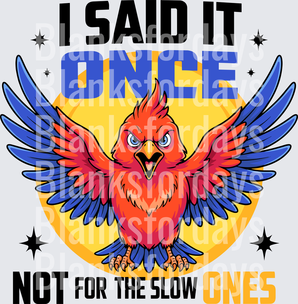 I Said It Once Not For The Slow Ones Angry Cardinal Bird (DTF)