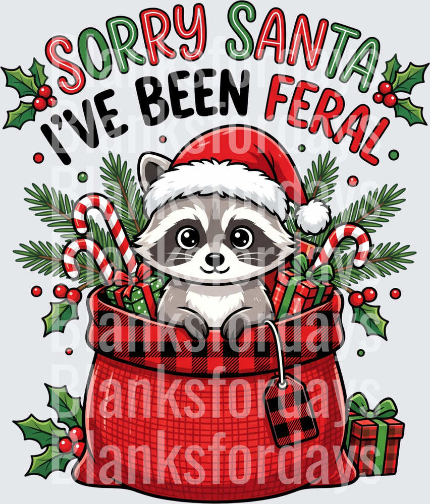 Sorry Santa I've Been Feral Christmas Raccoon Santa Hat (DTF)