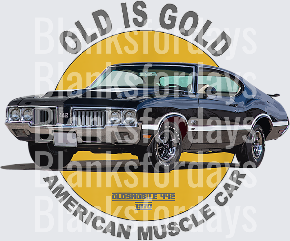Old Is Gold 1970 Oldsmobile 442 American Muscle Car (DTF)