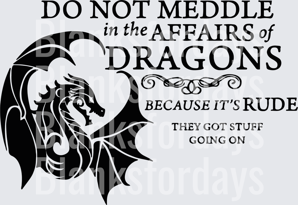 Do Not Meddle in the Affairs of Dragons Funny Quote (DTF)