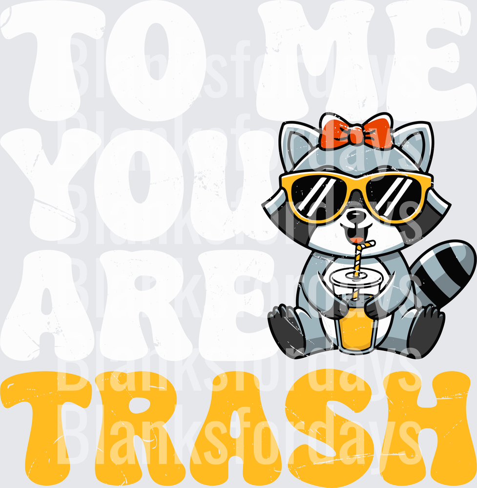 To Me You Are Trash Cute Raccoon with Sunglasses and Drink (DTF)