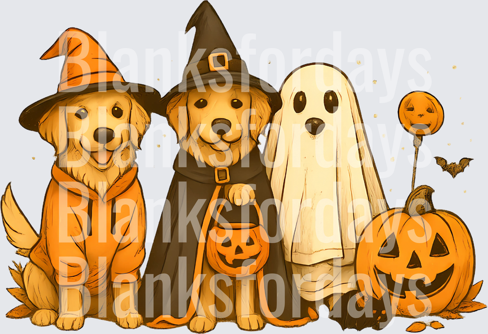 Halloween Golden Retrievers in Witch and Ghost Costumes (DTF)