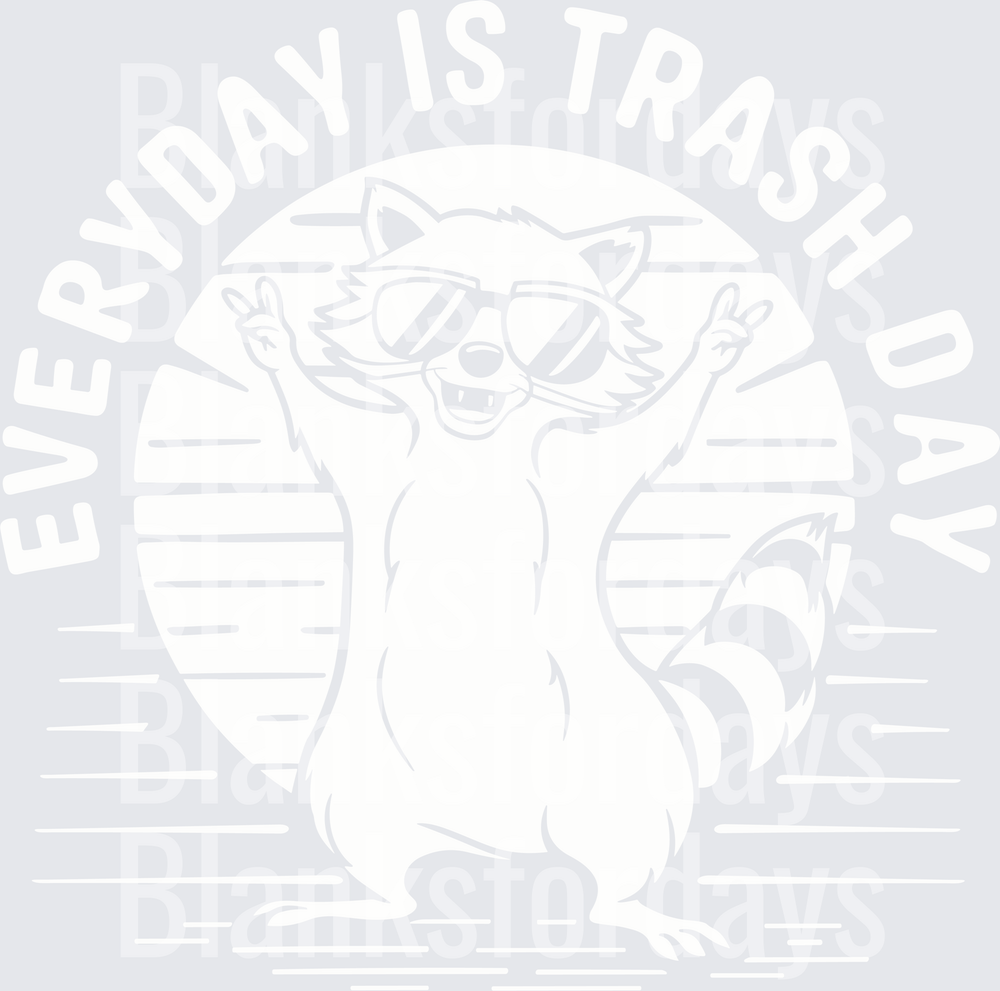 Everyday Is Trash Day Cool Raccoon Retro Sunset (DTF)