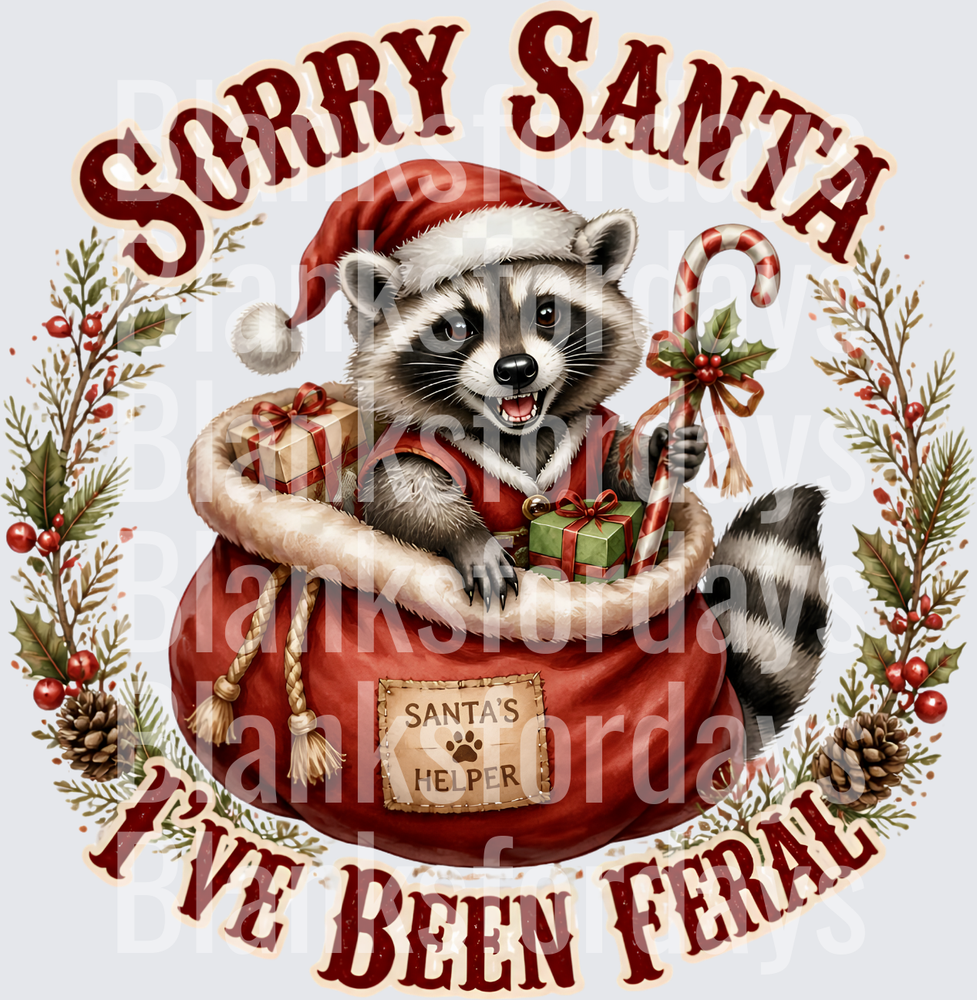 Sorry Santa I've Been Feral Raccoon Santa's Helper Bag (DTF)