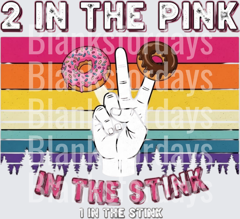 2 In The Pink 1 In The Stink Donut Hand Retro Sunset (DTF)